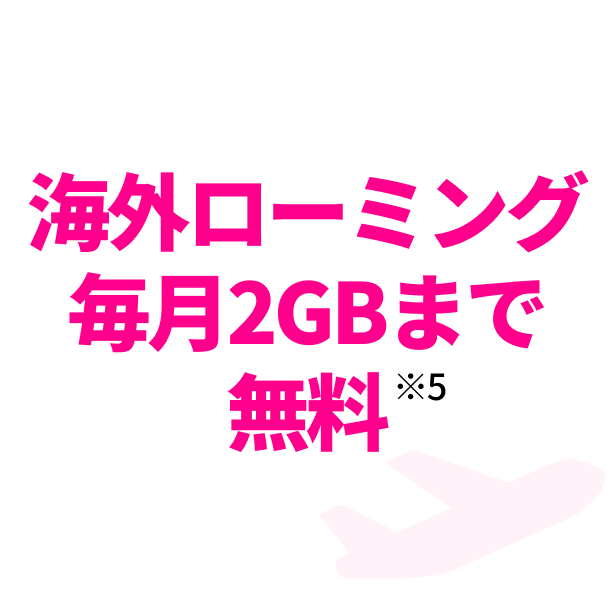 海外ローミング毎月2GBまで無料※5