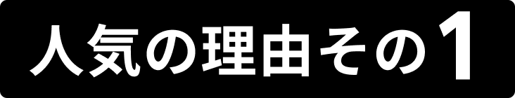 人気の理由その1