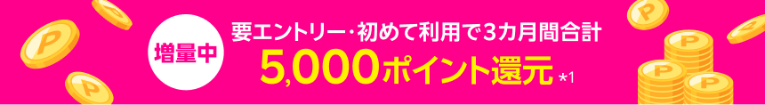 増量中 要エントリー・初めて利用で、3カ月間合計5,000ポイント還元*1。