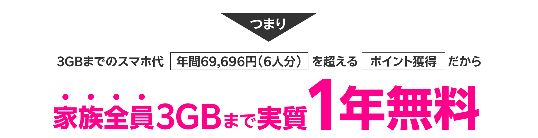 つまり家族全員3GBまで実質1年無料