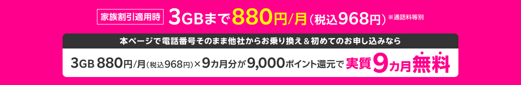 家族割引適用時3GBまで880円/月（税込968円）※通話料等別 本ページで電話番号そのまま他社からお乗り換え&初めてのお申し込みなら 実質9ヵ月分無料