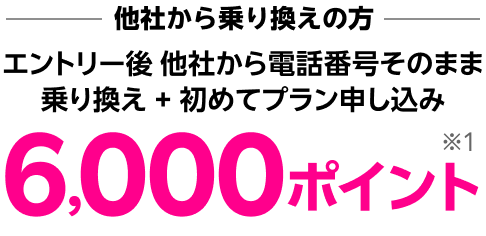 エントリー後 他社から電話番号そのまま乗り換え + 初めてプラン申し込み6,000ポイント※1