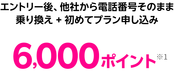 エントリー後、他社から電話番号そのまま 乗り換え + 初めてプラン申し込み6,000ポイント※1