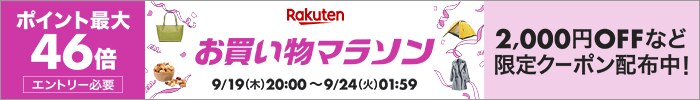 ポイント最大46倍 エントリー必要 お買い物マラソン