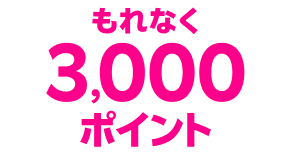 もれなく3,000ポイント