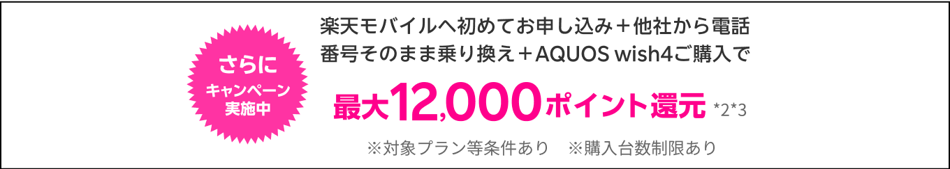 キャンペーン開催中！さらに12,000円値引き！*2*3