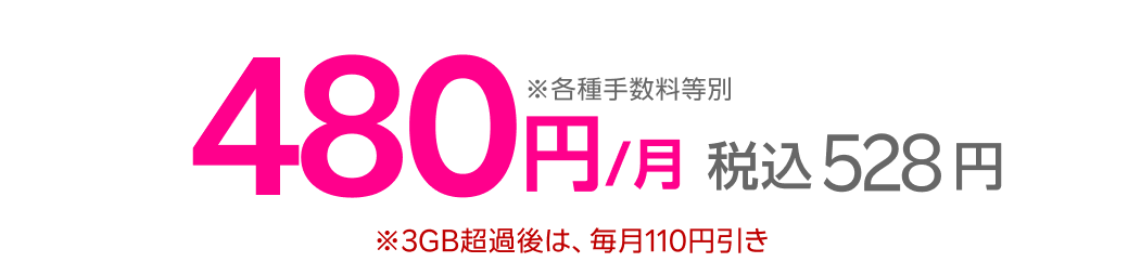 実質480円 税込528円 ※3GB超過後は、毎月110ポイント還元