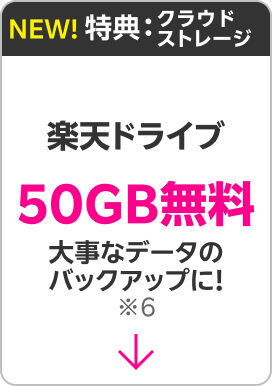 クラウドストレージ：大事なデータのバックアップに！楽天ドライブ50GB無料※6