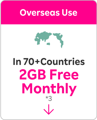 Overseas Use In 70+Countries 2GB Free Monthly *3