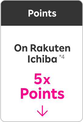 Points On Rakuten Ichiba 5xPoints *4