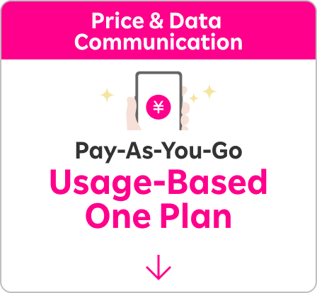 Price & Data Communication Pay-As-You-Go Usage-Based One Plan