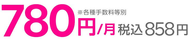 780円/月 税込858円 ※各種手数料等別