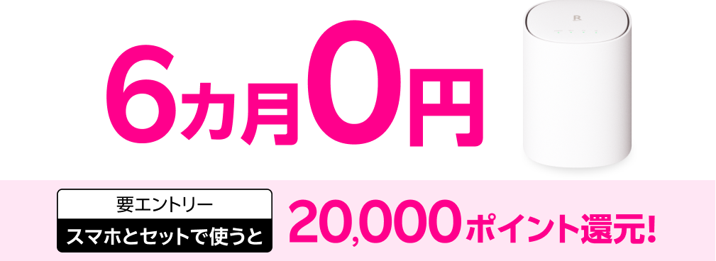 6カ月0円 要エントリー スマホとセットで使うと20,000ポイント還元！