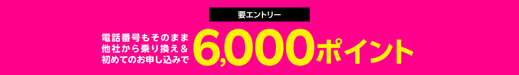 要エントリー 電話番号そのまま乗り換え（MNP）＆初めて申込みで6,000ポイント