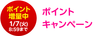 ポイント増量中 1/7（火）8:59まで