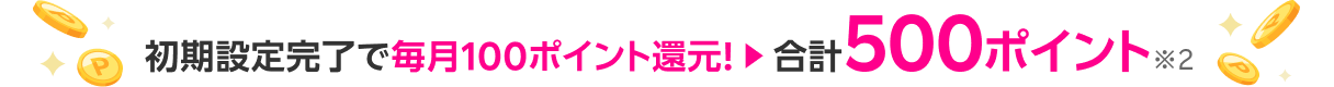 初期設定完了で毎月100ポイント還元！合計500ポイント※2