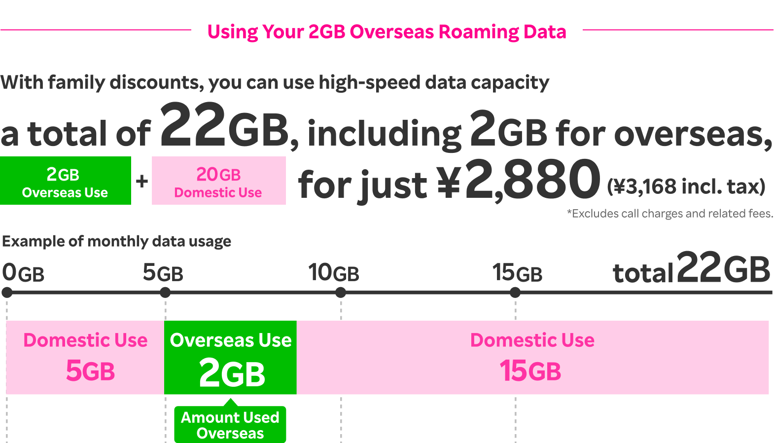 Example of Overseas Roaming with 2GB Usage: When using a total of 22GB of high-speed data, the cost is just 2,880 yen (3,168 yen incl. tax) with a family discount applied!