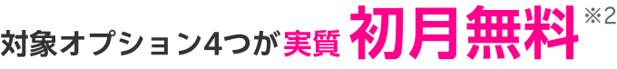 対象オプション4つが実質初月無料※2